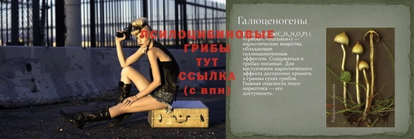 спайс Алексеевка