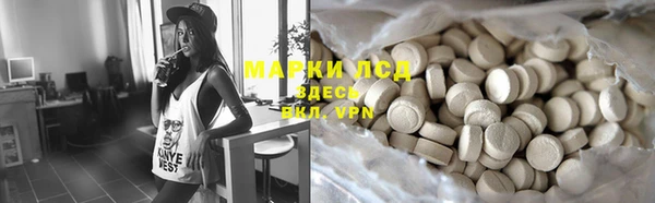 стафф Алексин