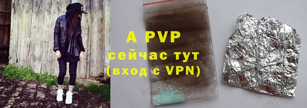 стафф Алексин