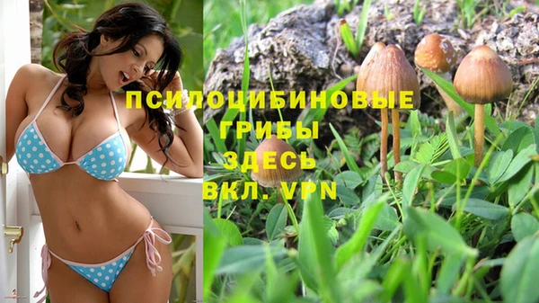 mdpv Алзамай